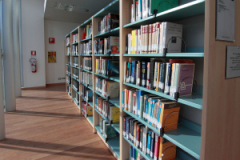 Book shelves at BUP